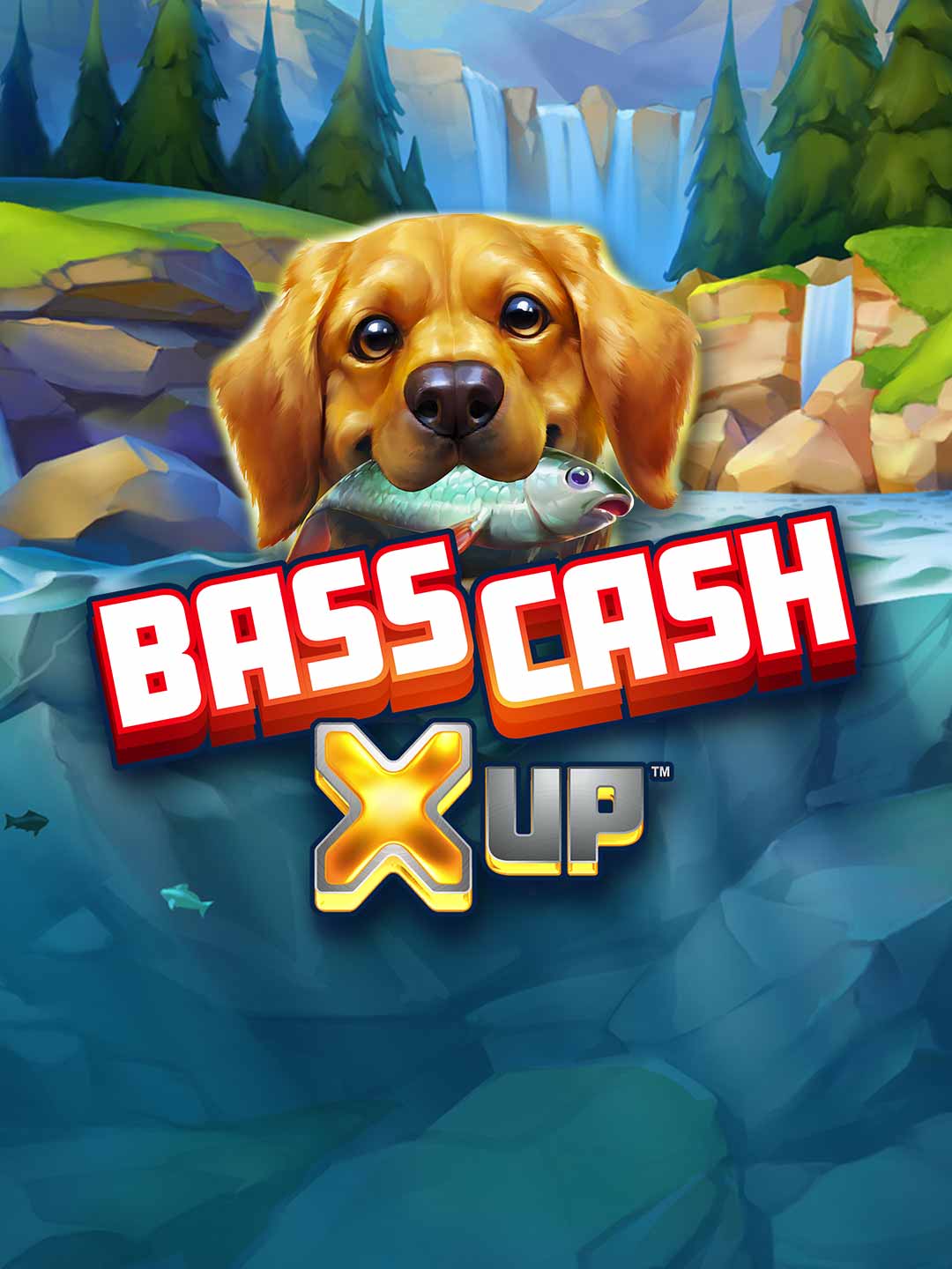 Bass Cash X UP