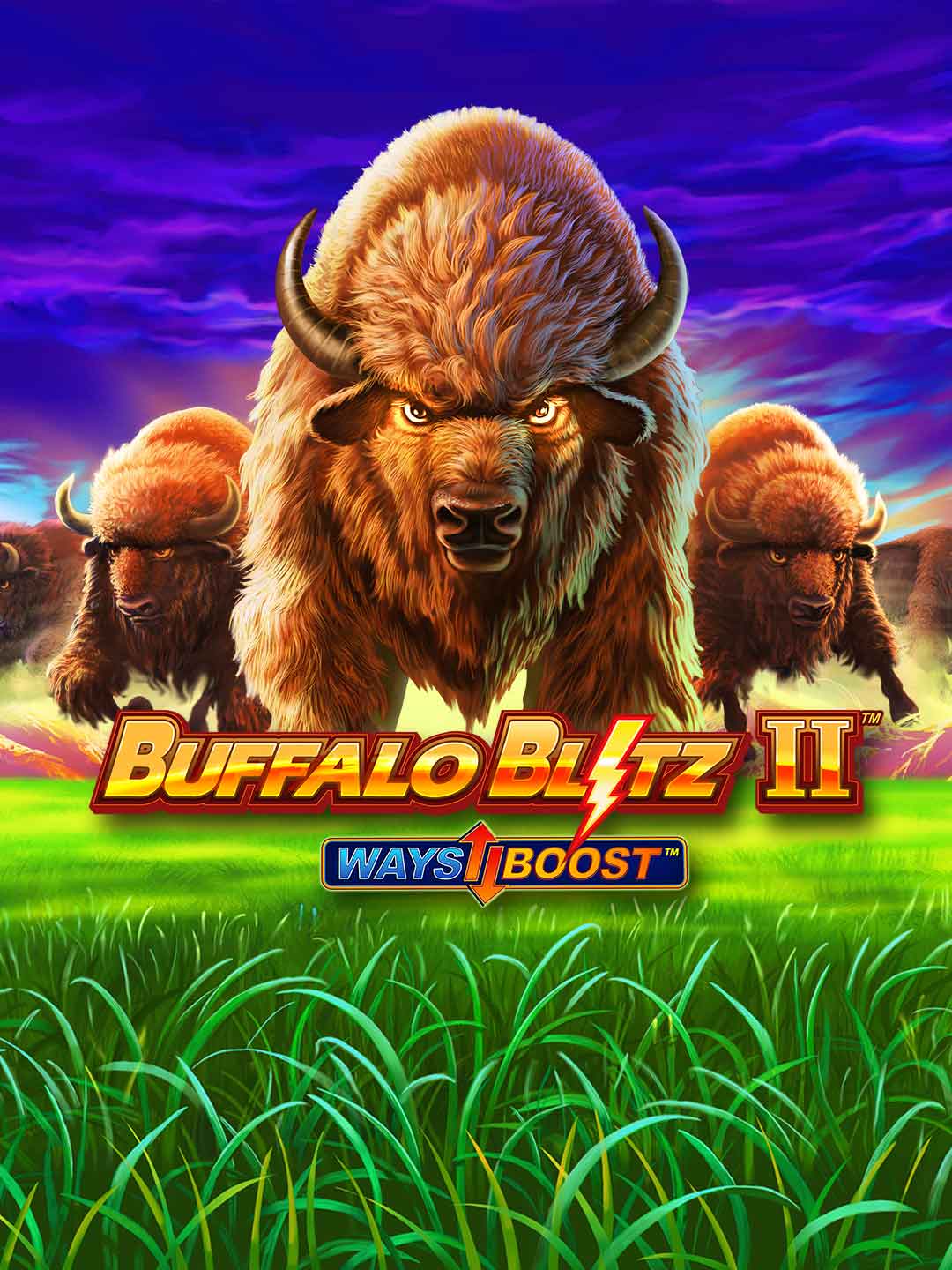 Buffalo Blitz II