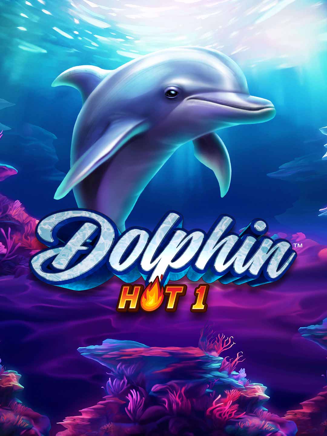 Dolphin Hot 1