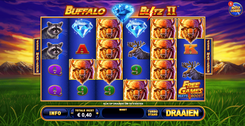 Buffalo Blitz II gameplay