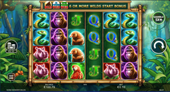 Kong Wonder Wilds GP